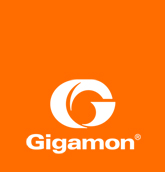 Gigamon Logo - Network Visibility